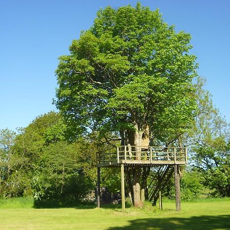 Newmoor Park Hotel ลอนเซสตัน ภายนอก รูปภาพ