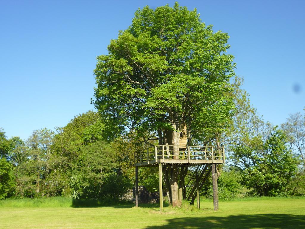 Newmoor Park Hotel ลอนเซสตัน ภายนอก รูปภาพ