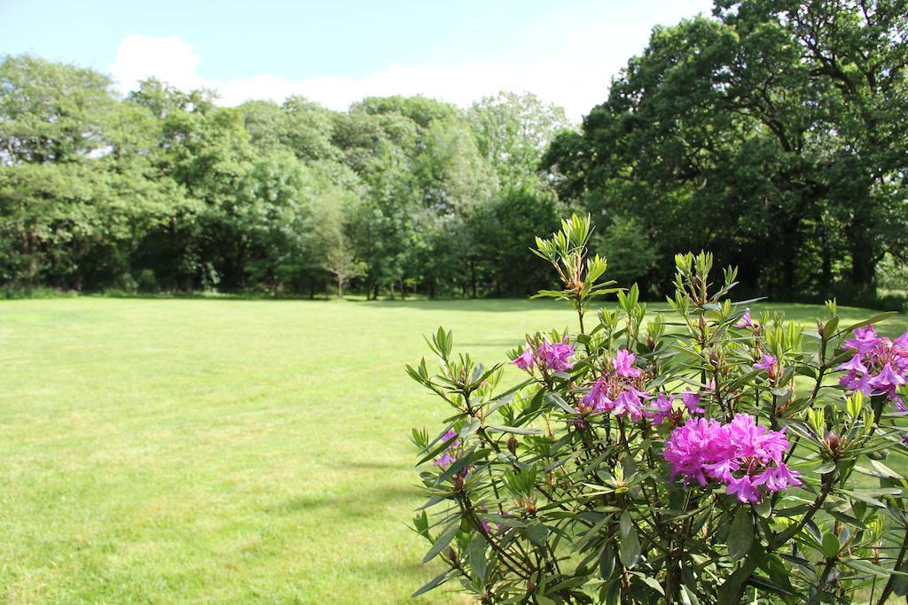 Newmoor Park Hotel ลอนเซสตัน ภายนอก รูปภาพ
