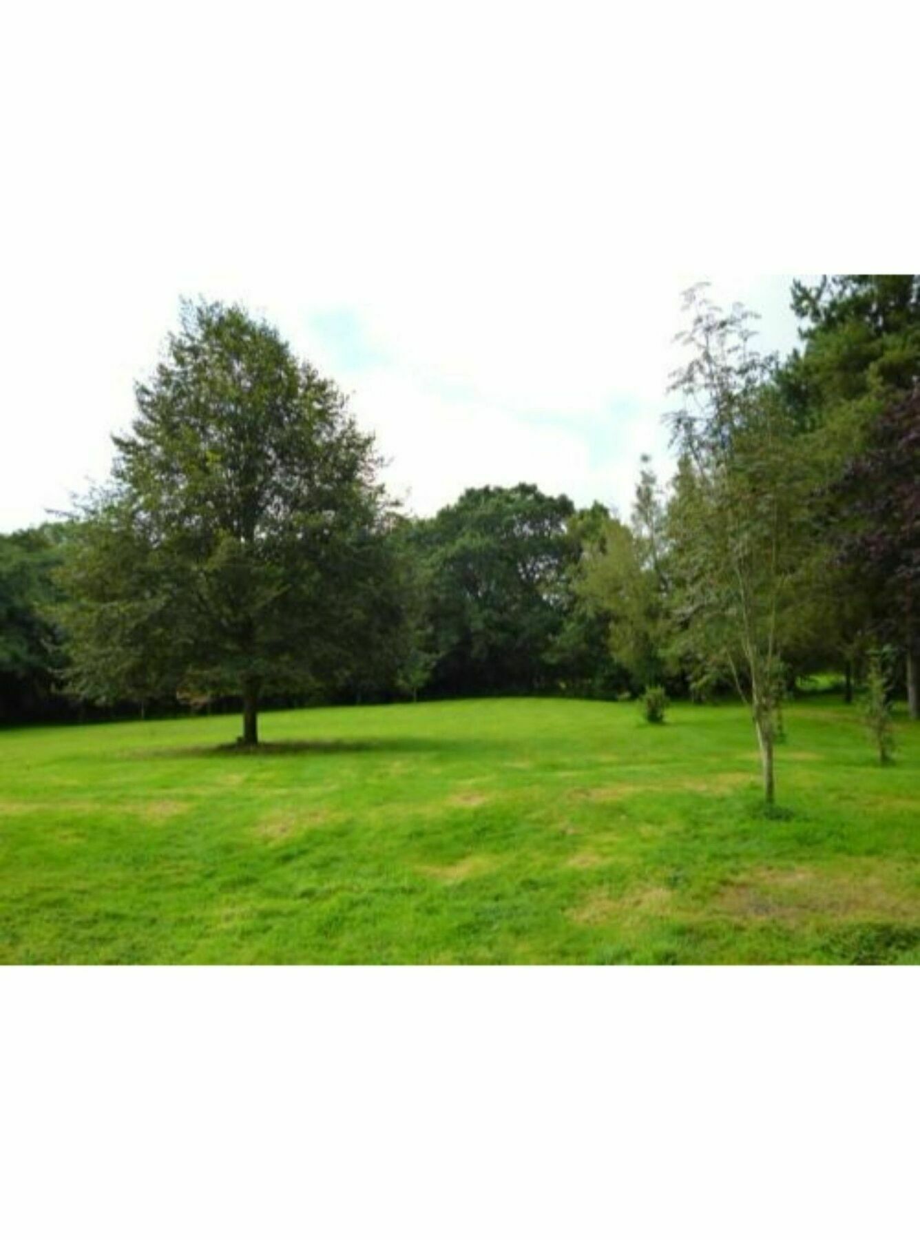 Newmoor Park Hotel ลอนเซสตัน ภายนอก รูปภาพ